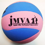 <span class="title">Mixed volleyball Official Ball !!</span>